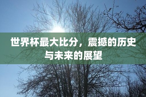 世界杯最大比分，震撼的历史与未来的展望眉山市正发家政服务有限公司