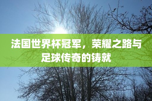 法国世界杯冠军，荣耀之路与足球传奇的铸就