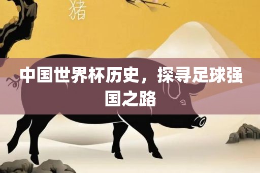 中国世眉山市正发家政服务有限公司界杯历史，探寻足球强国之路