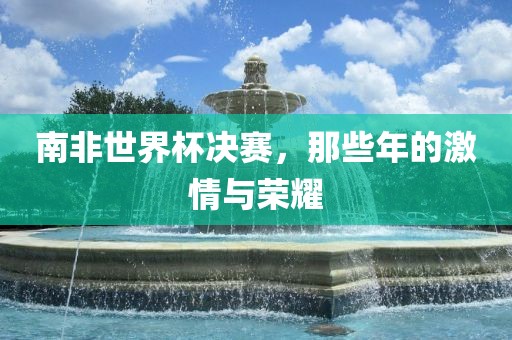 南非世界杯决赛，那些年的激情与荣耀眉山市正发家政服务有限公司