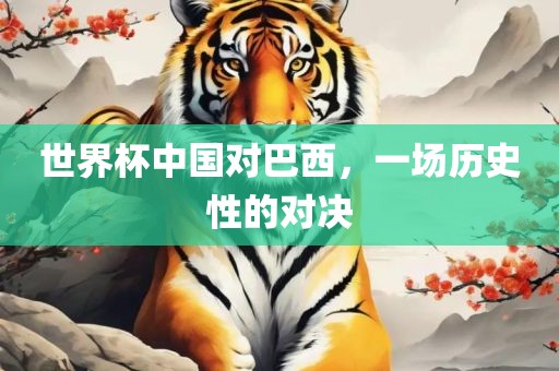 世界眉山市正发家政服务有限公司杯中国对巴西，一场历史性的对决