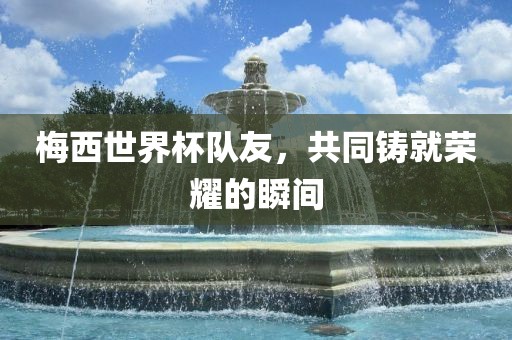 梅西世界杯队友，共同铸就荣耀的瞬间眉山市正发家政服务有限公司