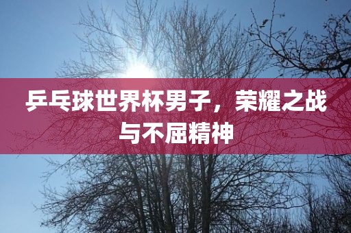 乒乓球世界杯男子，荣耀之战与不屈精神眉山市正发家政服务有限公司