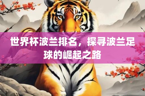 世界杯波兰排名，探寻波兰足球的崛起之路