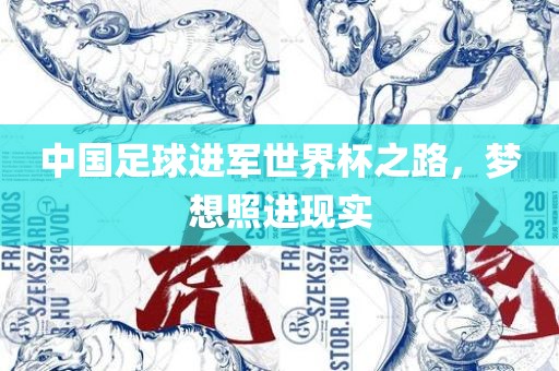 中国足球进军世界杯之路，梦想照进现实
