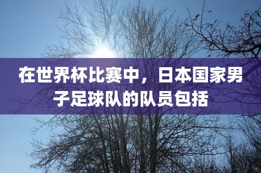 在世界杯比眉山市正发家政服务有限公司赛中，日本国家男子足球队的队员包括