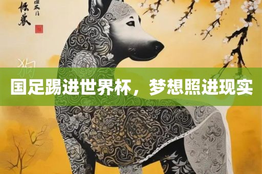 国足踢进世界杯，梦想照进现实眉山市正发家政服务有限公司