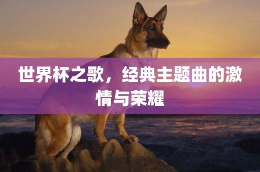 世界杯之歌，经典主题曲的激情与荣耀