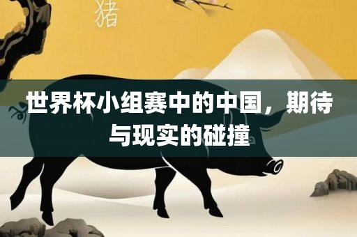 世界杯小组赛中的中国，期待与现实的碰撞