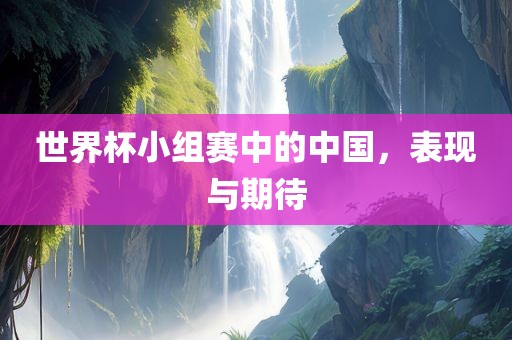 世界杯小组赛中的中国，表现与期待眉山市正发家政服务有限公司
