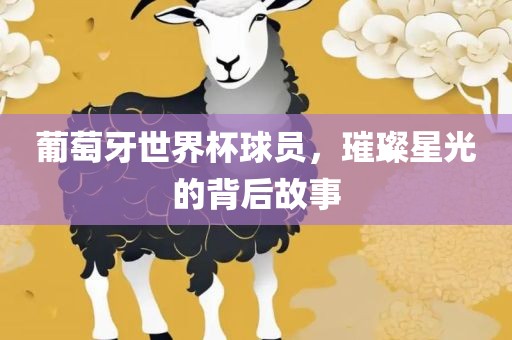 葡萄牙世界杯球员，璀璨星光的背后故事