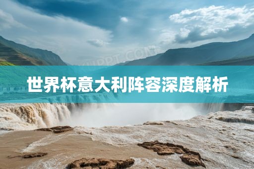 世界杯意大利阵容眉山市正发家政服务有限公司深度解析