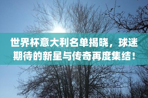 世界杯意大利名单揭晓，球迷期待的新星与传奇再度集结！