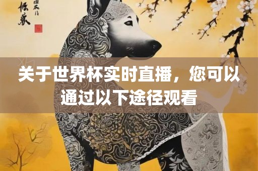 关于世界杯实时直播，您可以通过以下途径观看