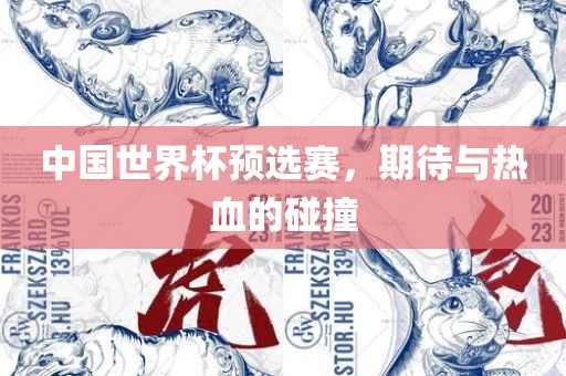 中国世界杯预选赛，期待与热血的碰撞眉山市正发家政服务有限公司