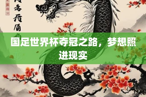 国足世界杯夺冠之路，梦想照进现实