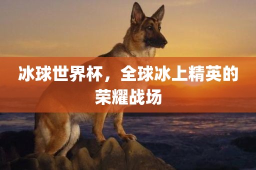 冰球世界杯，全球冰上精英的荣耀战场眉山市正发家政服务有限公司