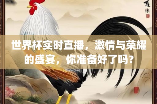 世界杯实时直播，激情与荣耀的盛宴，你准备好了吗？