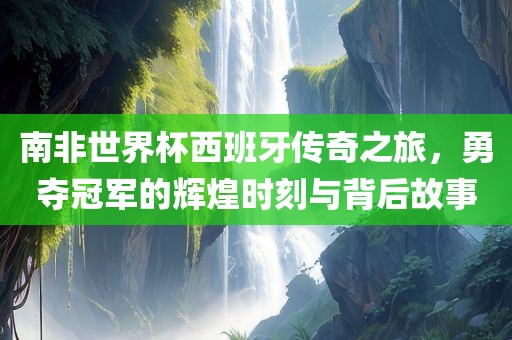 世界杯南非
