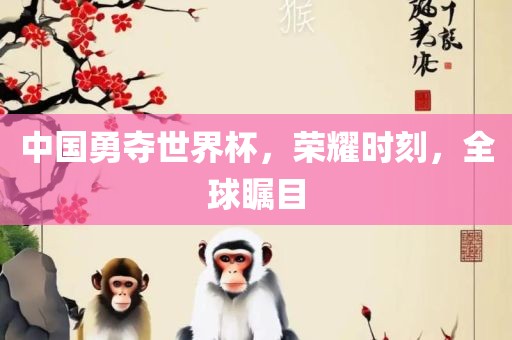 中国世界杯夺冠