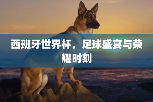 西班牙世界杯，足球盛宴与荣耀时眉山市正发家政服务有限公司刻
