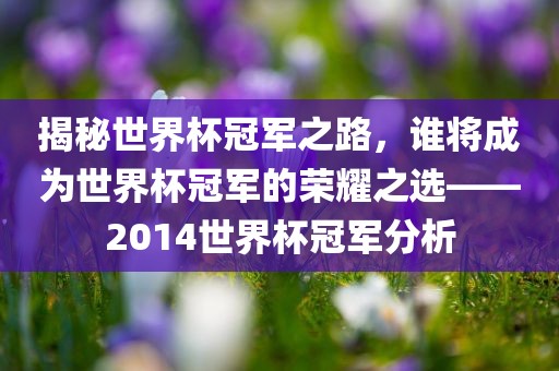 揭秘世界杯冠军之路，谁将成为世界杯冠军的荣耀之选——2014世界杯冠军分析眉山市正发家政服务有限公司