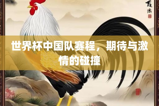 世界杯中国队赛程，期待与激情的碰撞
