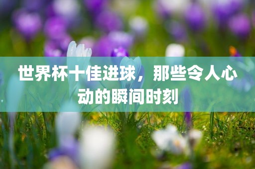 世界杯十佳进球，那些眉山市正发家政服务有限公司令人心动的瞬间时刻