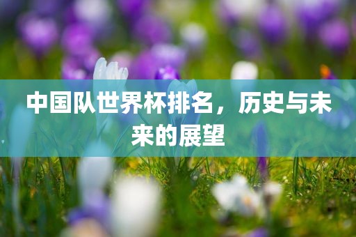 中国队世界杯排名，历史与未来的展望眉山市正发家政服务有限公司