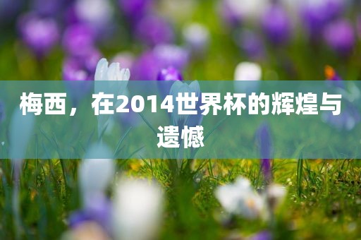 梅西，在2014世界杯的辉煌与遗憾