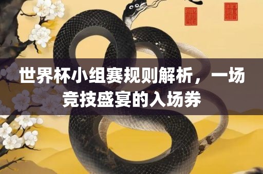 世界杯小组赛规则解析，一场竞技盛宴的入场券