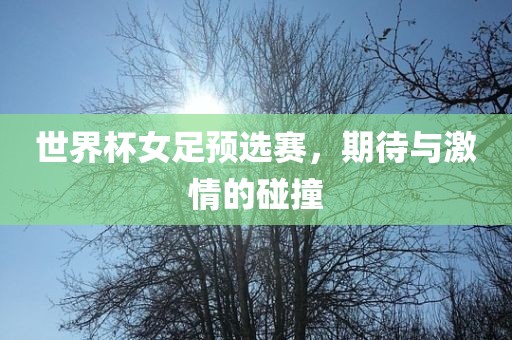 世界杯女足预选赛，期待与激情的碰撞眉山市正发家政服务有限公司
