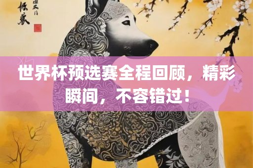 世界杯预选赛全程回顾，精彩瞬间，不容错过！眉山市正发家政服务有限公司