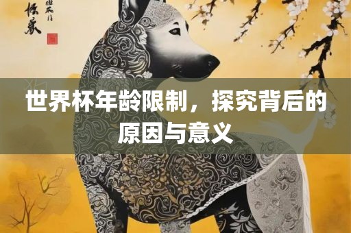 世界杯年龄限制，探究背后的原因与意义眉山市正发家政服务有限公司
