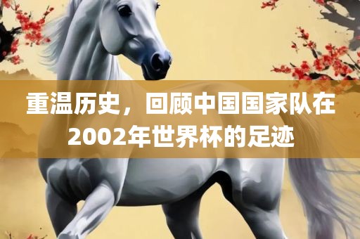 重温历史，回顾中国国家队在2002年世界杯的足迹眉山市正发家政服务有限公司