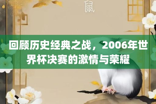 回顾历史经典之战，2006年世界杯决赛的激情与荣耀
