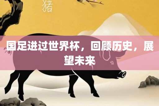 眉山市正发家政服务有限公司国足进过世界杯，回顾历史，展望未来