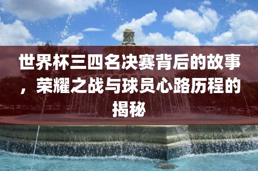 世界杯三四名决赛背后的故事，荣耀之战与球员心路历程的揭秘眉山市正发家政服务有限公司