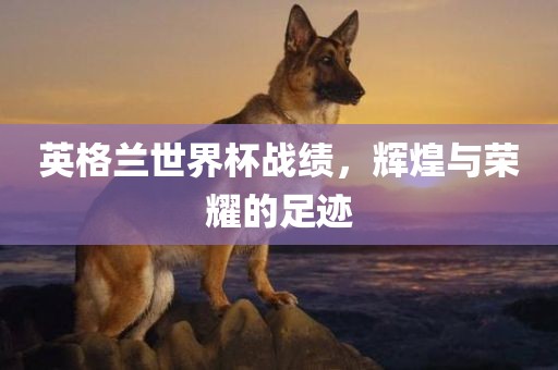英格兰世界杯战绩，辉煌与荣耀的足迹眉山市正发家政服务有限公司