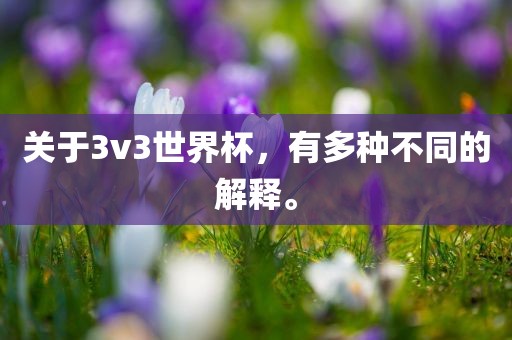 关于3v3世界杯，有多种不同的解释。