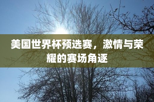 美国世界杯预眉山市正发家政服务有限公司选赛，激情与荣耀的赛场角逐