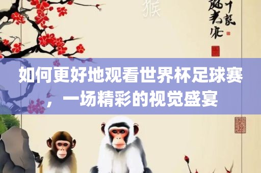 如何更好地观看世界杯足球赛，一场精彩的视觉盛宴眉山市正发家政服务有限公司