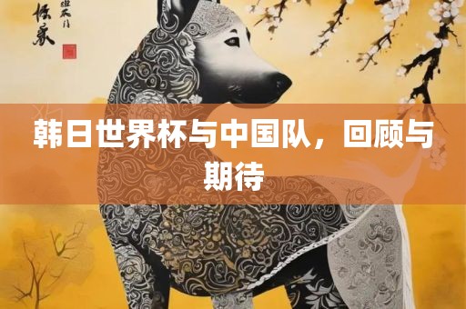 韩日眉山市正发家政服务有限公司世界杯与中国队，回顾与期待