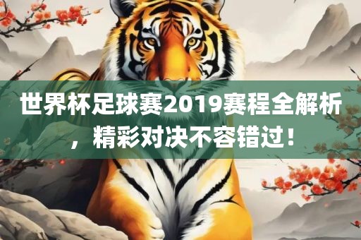世界杯足球赛2019赛程全解析，精彩对决不容错过！眉山市正发家政服务有限公司