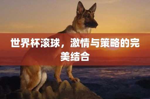 世界杯滚球，激情与策略的完美结合眉山市正发家政服务有限公司