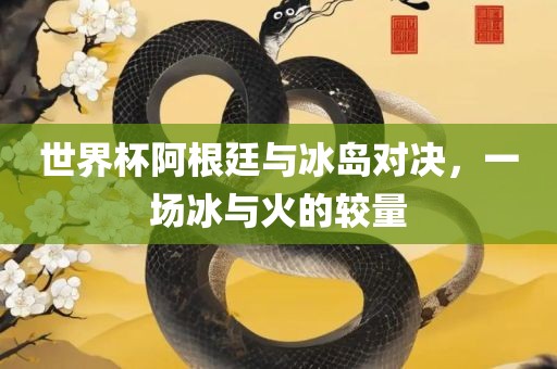 世界杯阿根廷与冰岛对决，一场冰与火的较量