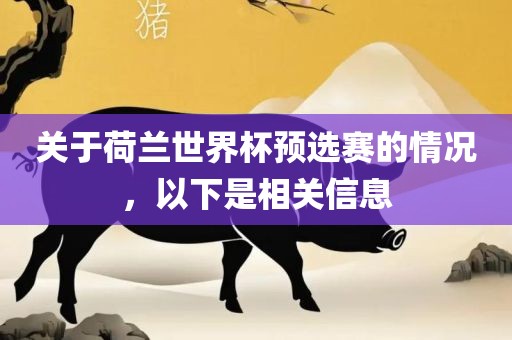 关于荷兰世界杯预选赛的情况，以下是相关信息