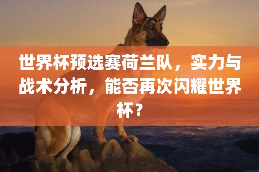 世界杯预选赛荷兰队，实力与战术分析，能否再次闪耀世界杯？眉山市正发家政服务有限公司