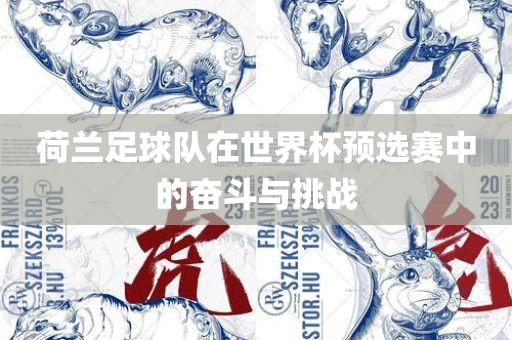 荷兰足球队在世界杯预选赛中的奋斗与挑战眉山市正发家政服务有限公司