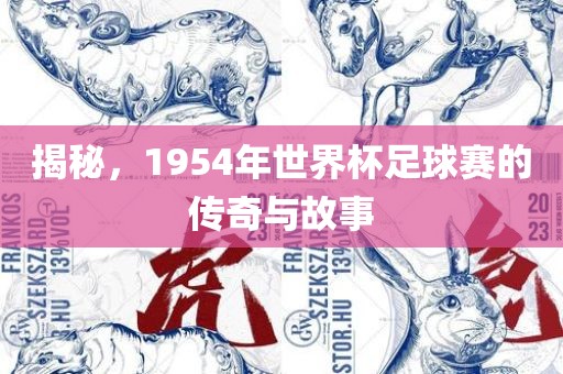 揭秘，1954年世界杯足球赛的传奇与故眉山市正发家政服务有限公司事